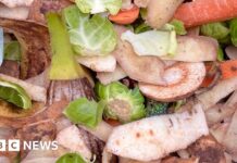 Herefordshire food waste collections delayed until next year
