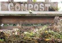 Composting: Simple summer tips to cut food waste and methane at home