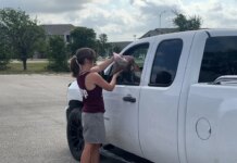 APA! and Central Texas Food Bank give food away to hundreds of people and pets every few months