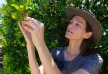 ‘Farm to corrections’ program benefits California growers, incarcerated people