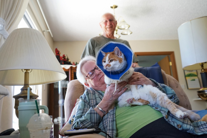 With-high-costs-and-access-gaps-Wyomings-elder-care-landscape.webp With high costs and access gaps, Wyoming’s elder care landscape is ‘in crisis’