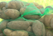 ‘Food Is Medicine Produce Fair’ is antidote to food insecurity